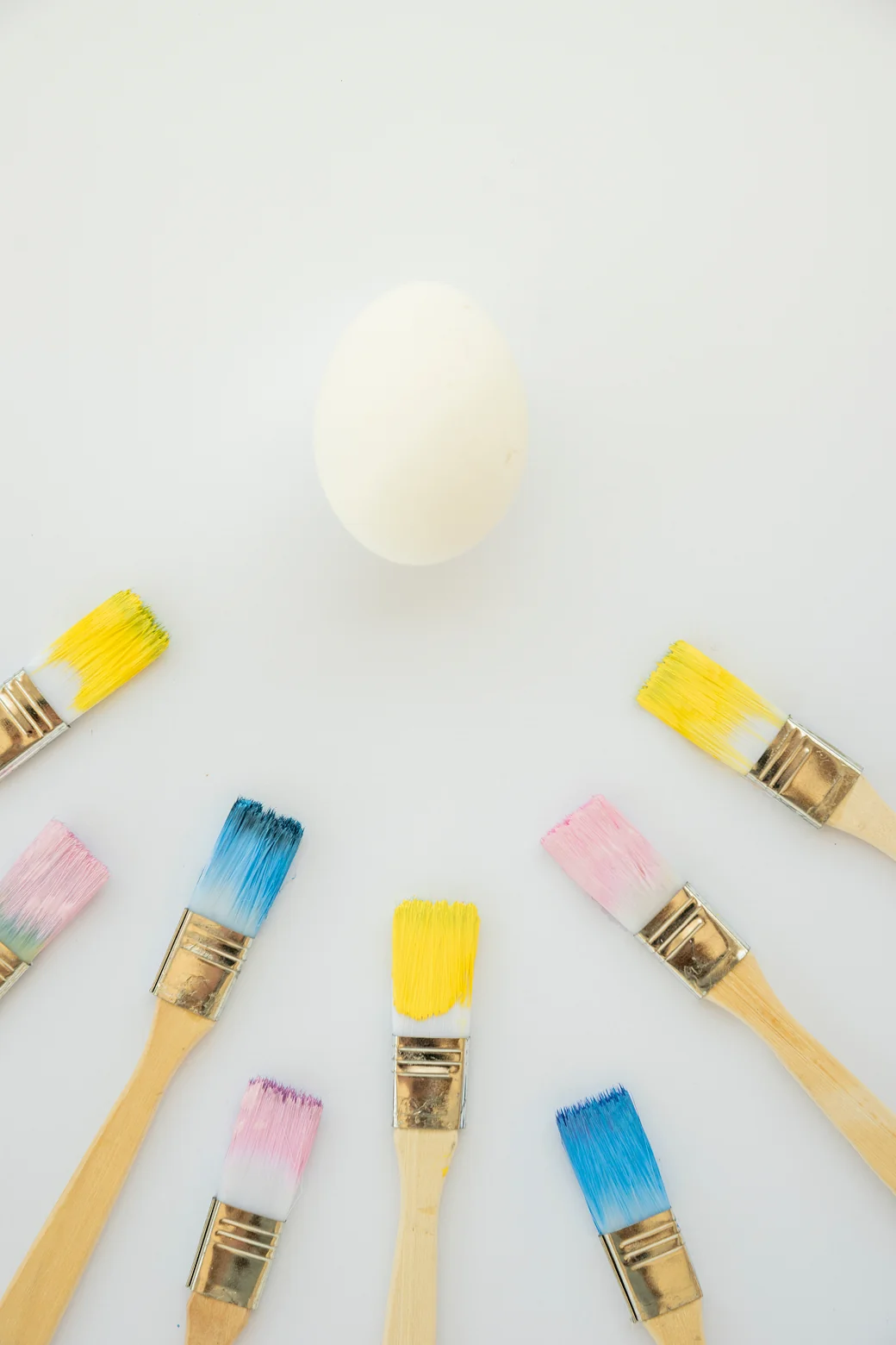 Paints & Brushes